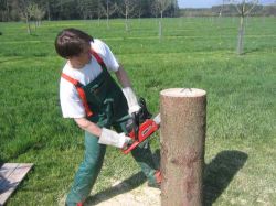 Arbeitseinsatz  2005 01